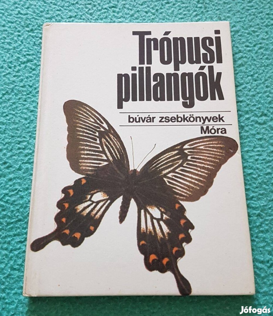 Mészáros Zoltán: Trópusi pillangók könyv (Búvár zsebkönyvek)