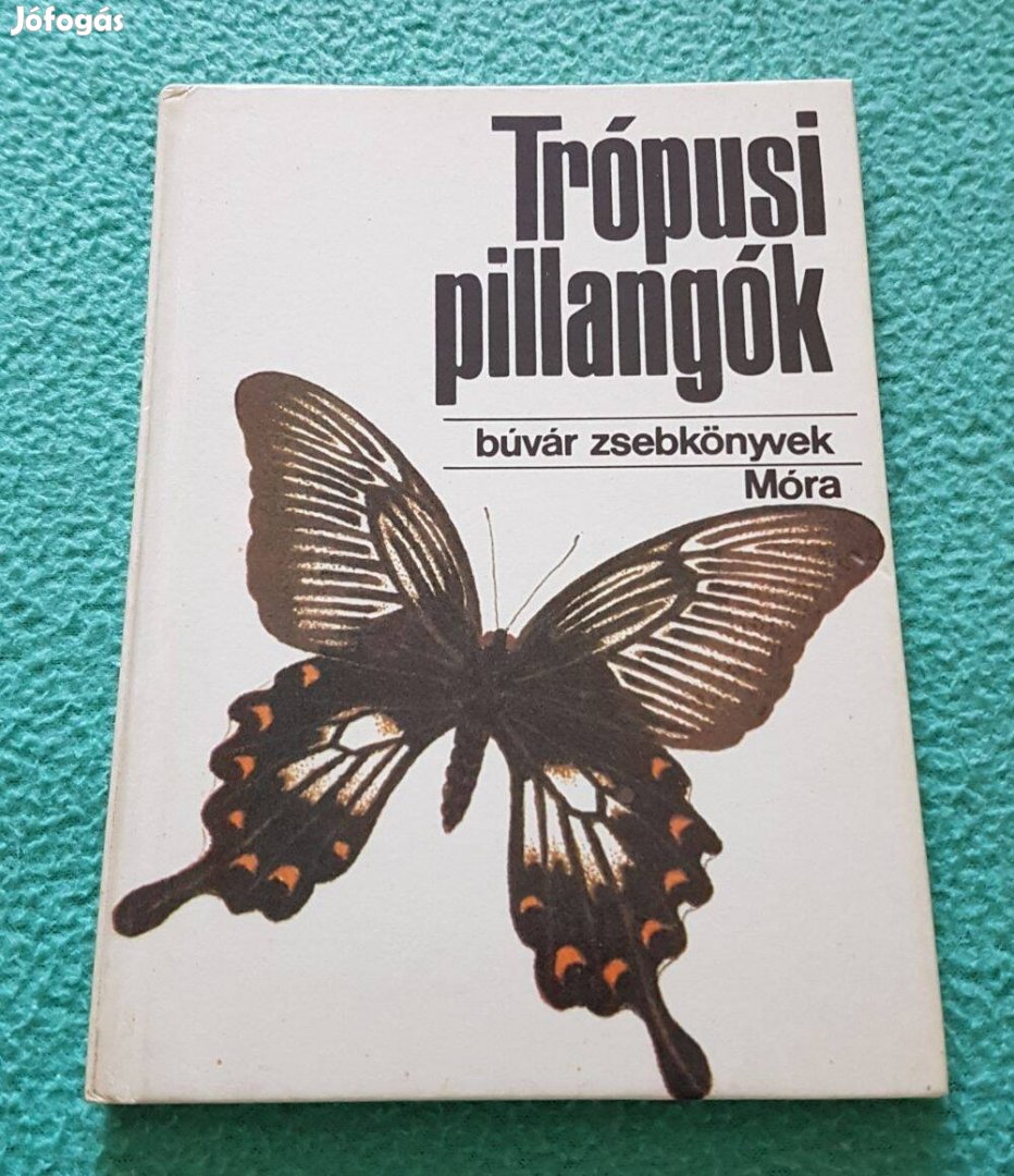 Mészáros Zoltán - Trópusi pillangók (Búvár Zsebkönyvek) könyv