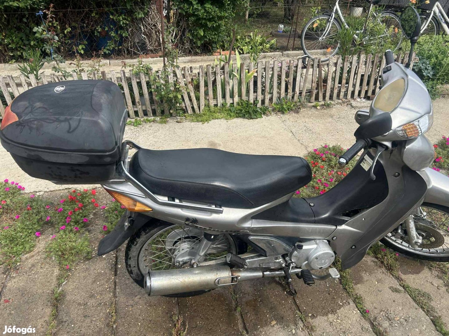 Mex Sahara 50ccm 