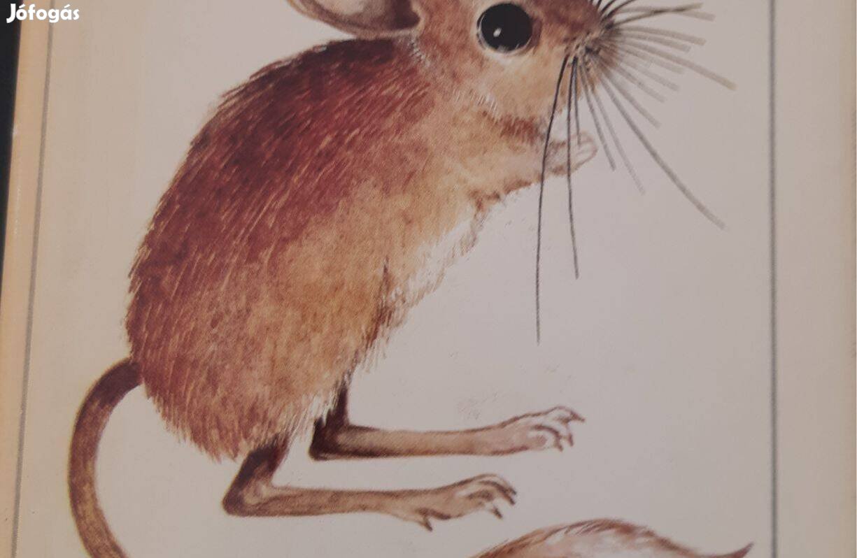 Meyers Taschenlexikon U. Jacob, G. Thomas-Petersein: Heimtiere