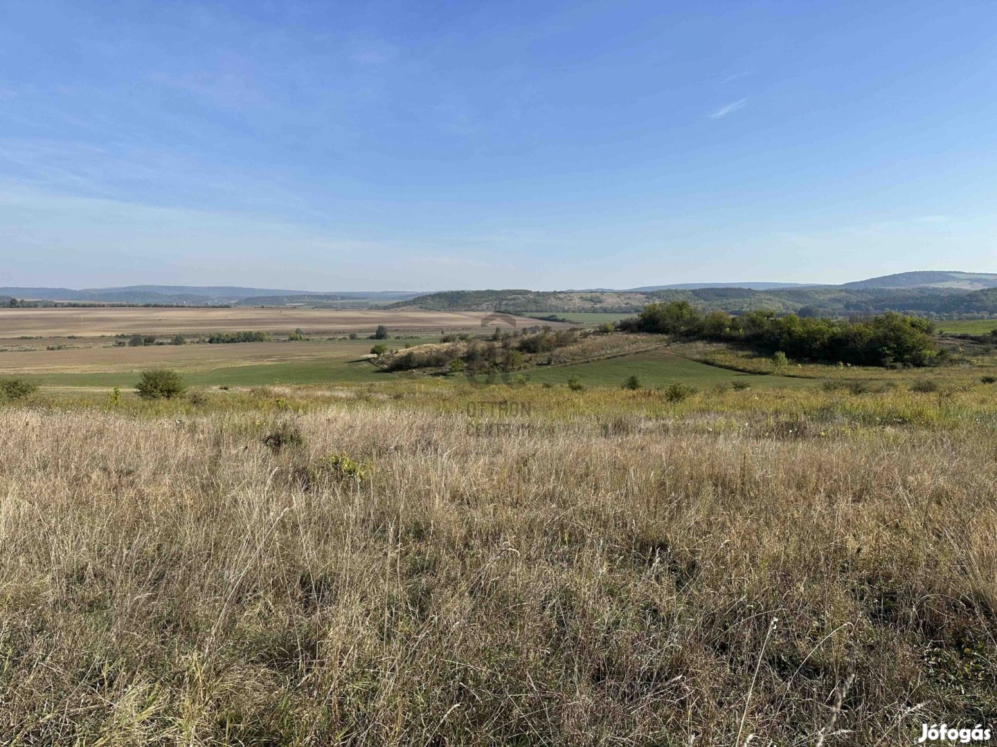 Mezőgazdasági terület Vácduka mellett