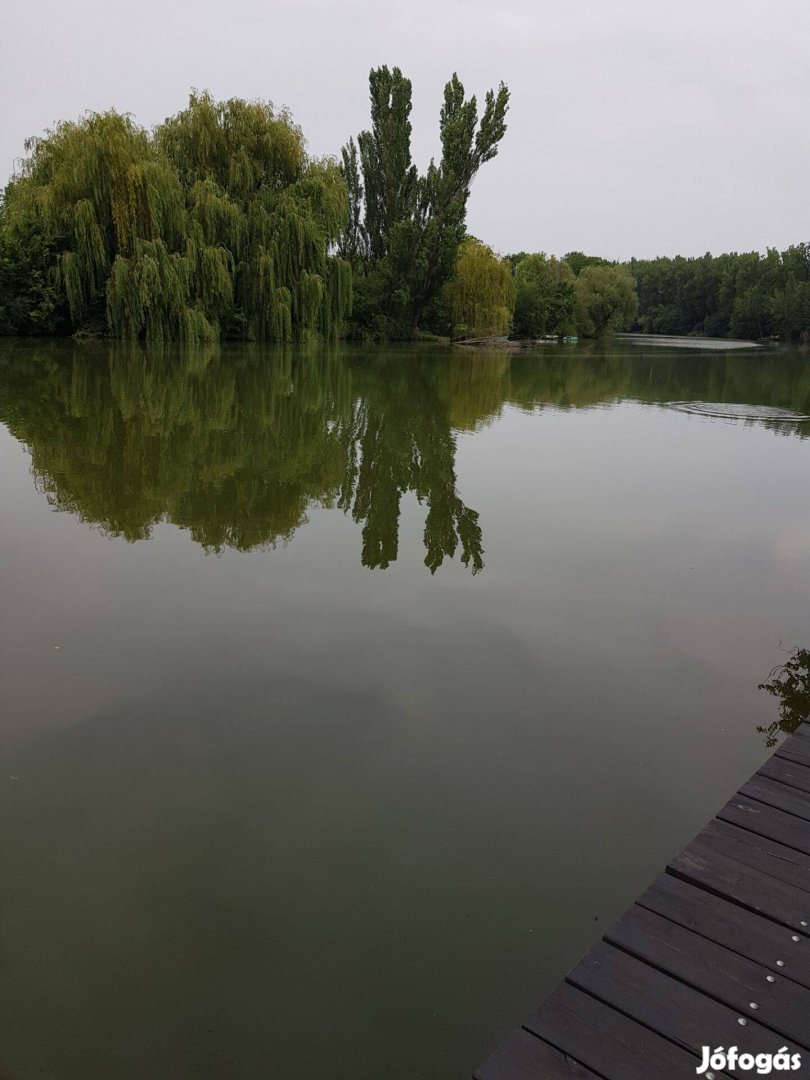 Mezőtúron a holt-körös partján közvetlen vízparti telek