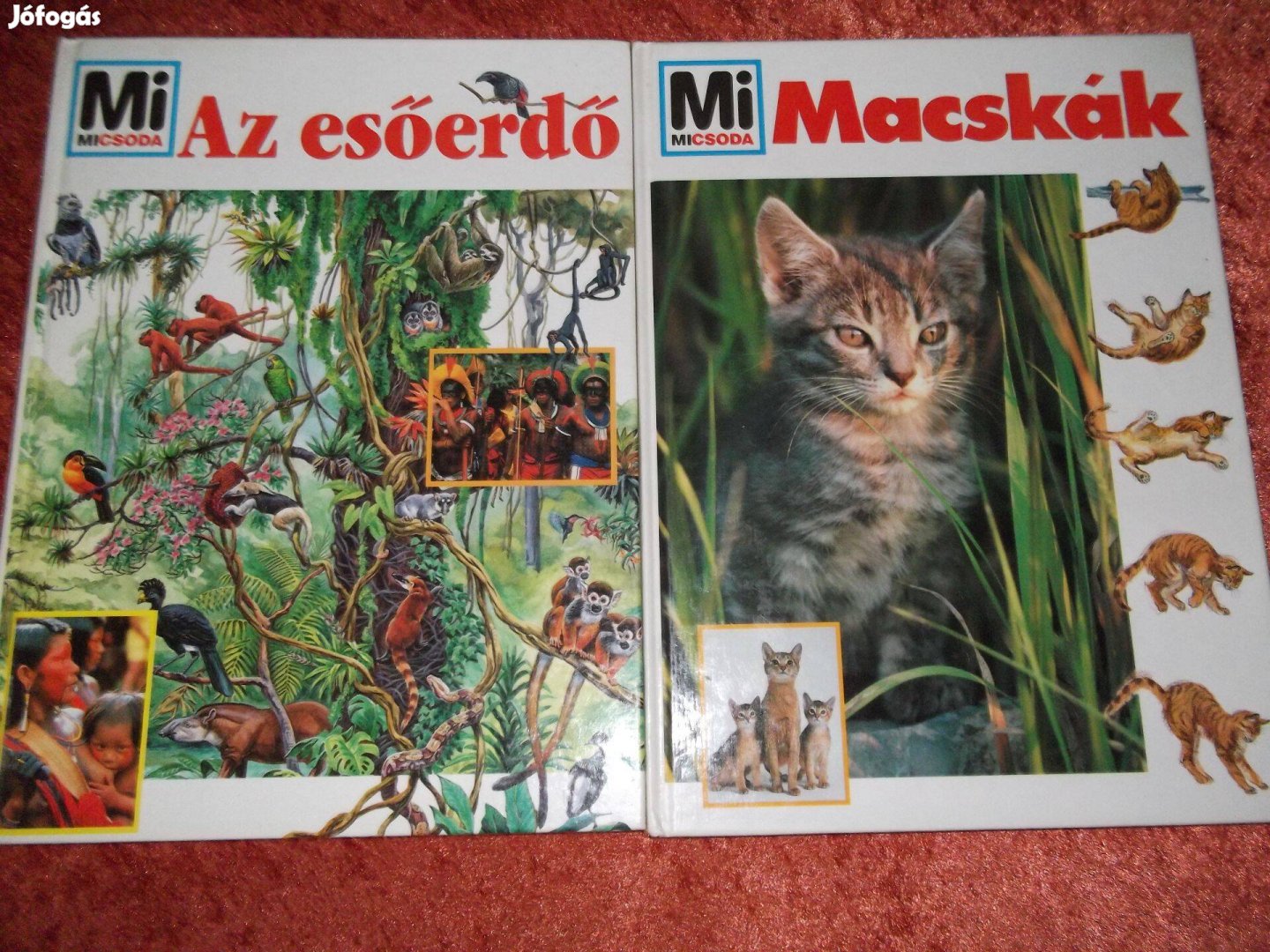 Mi Micsoda ismeretterjesztő könyvek