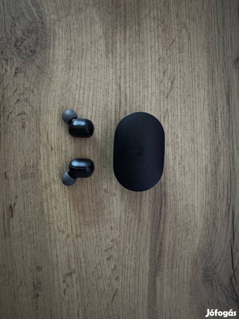 Mi True Wireless Earbuds Basic 2