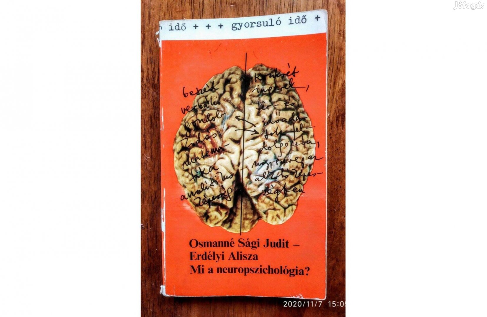 Mi a neuropszichológia? (gyorsuló idő) Osmanné Sági J.-Erdélyi A