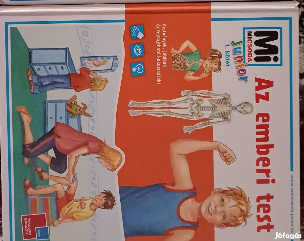 Mi micsoda Junior: Az emberi test c.könyv