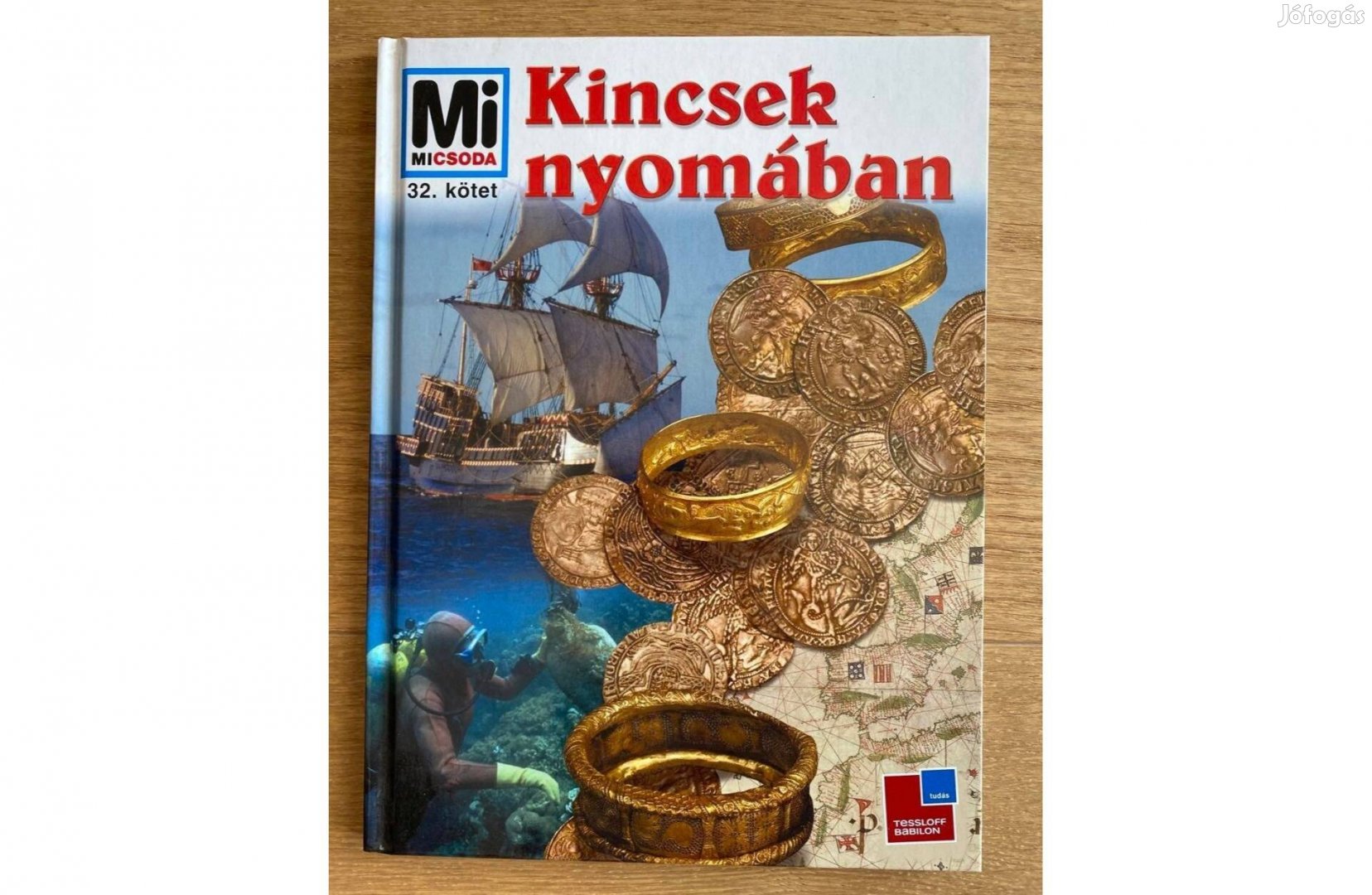 Mi micsoda (32. kötet) - Kincsek nyomában