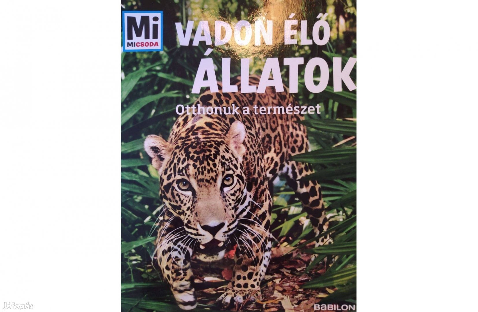 Mi micsoda - Vadon élő állatok