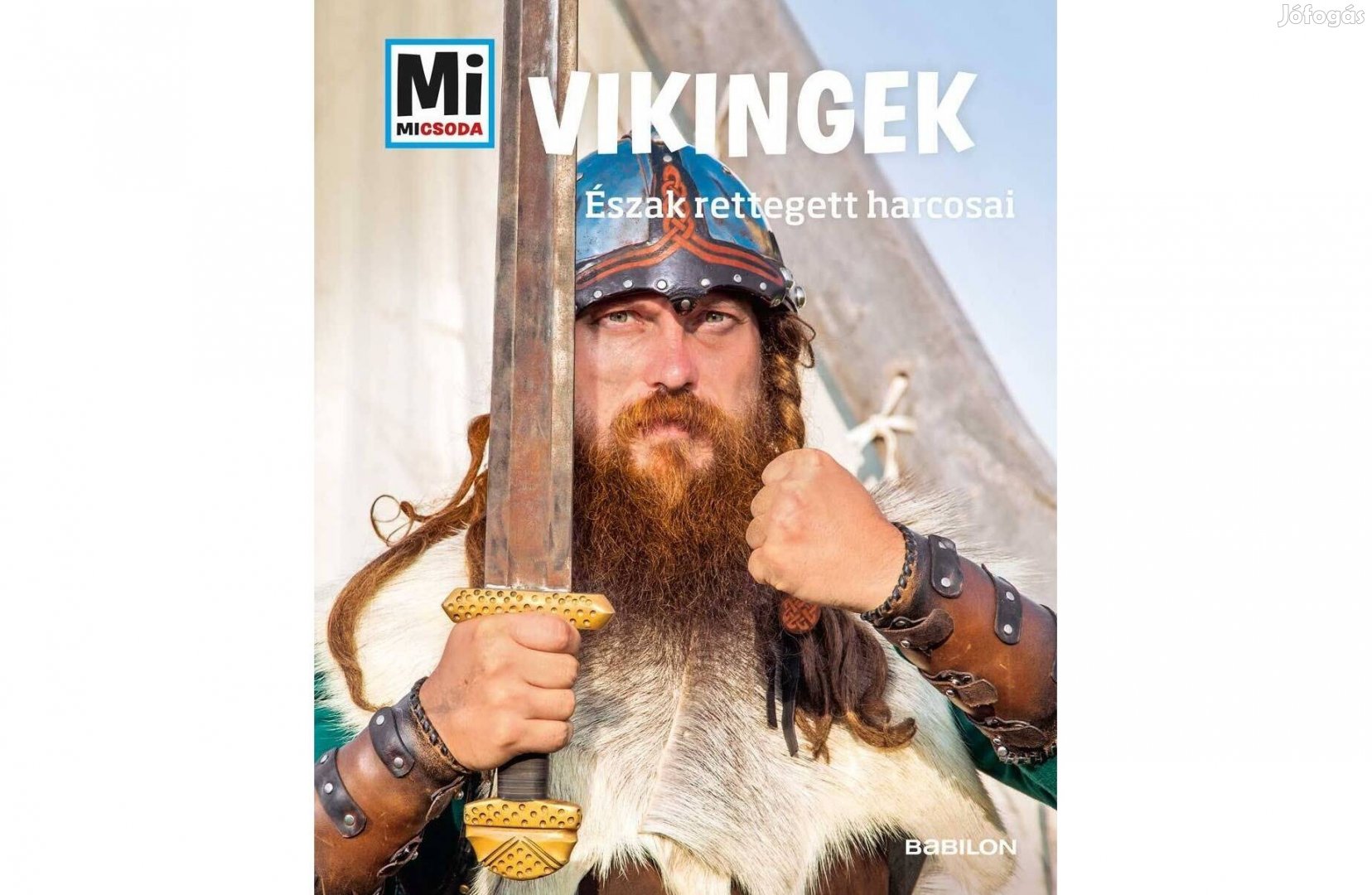 Mi micsoda - Vikingek