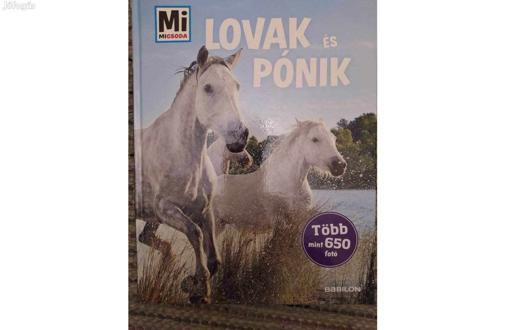 Mi micsoda album - Lovak és pónik (190 oldal)