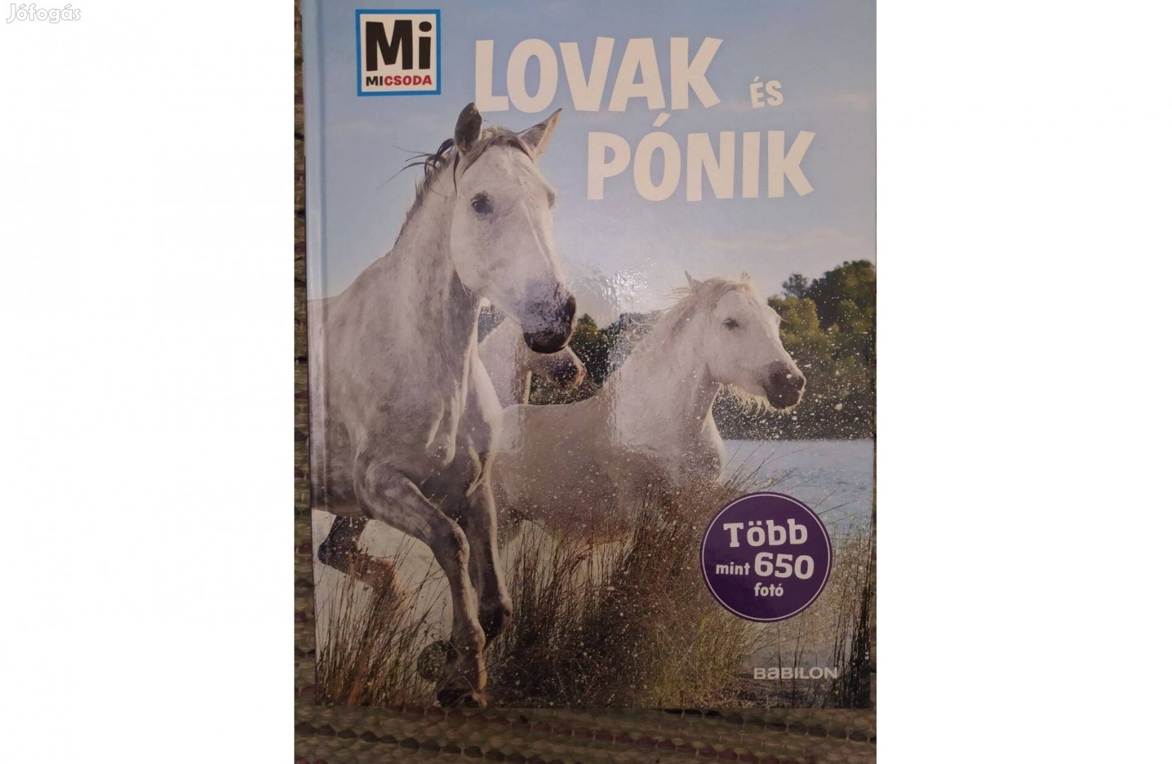 Mi micsoda képes lexikon - Lovak és pónik (190 oldal)