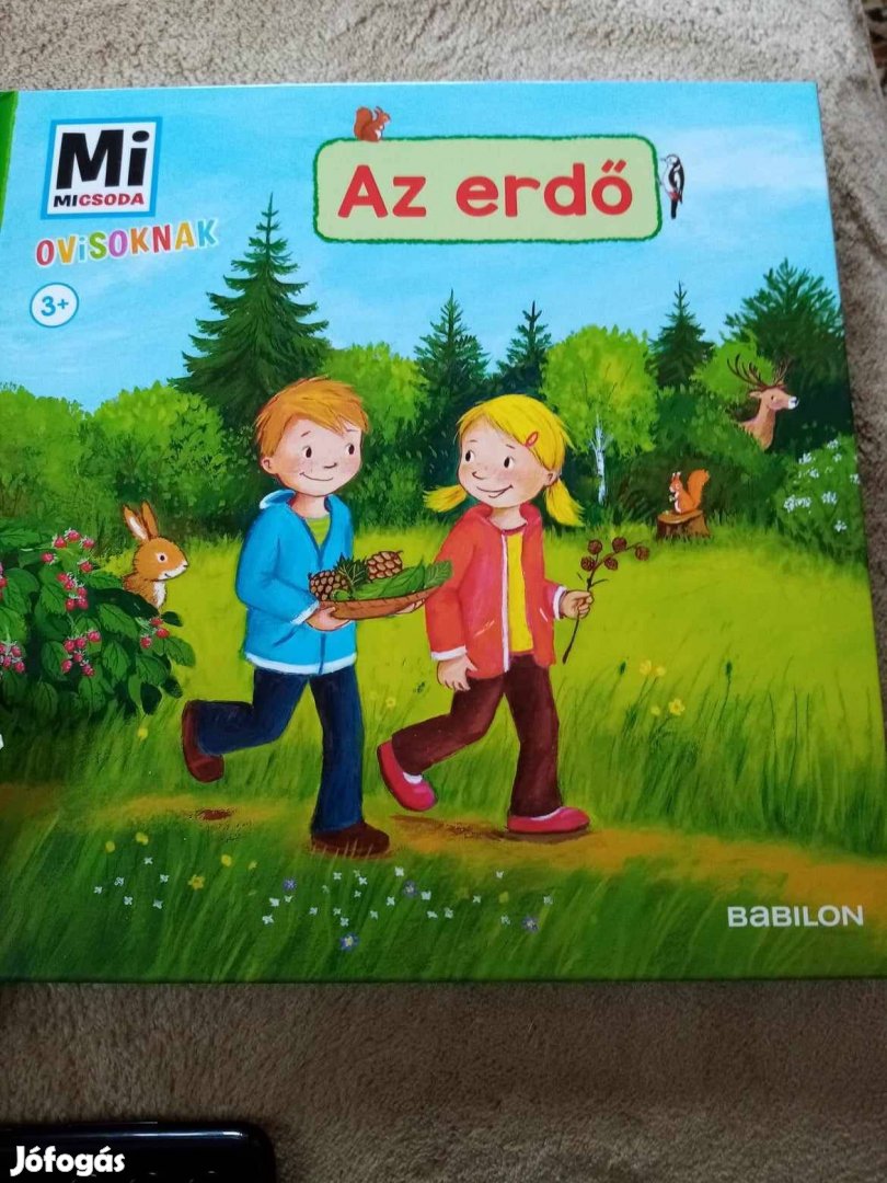 Mi micsoda ovisoknak: Az erdő