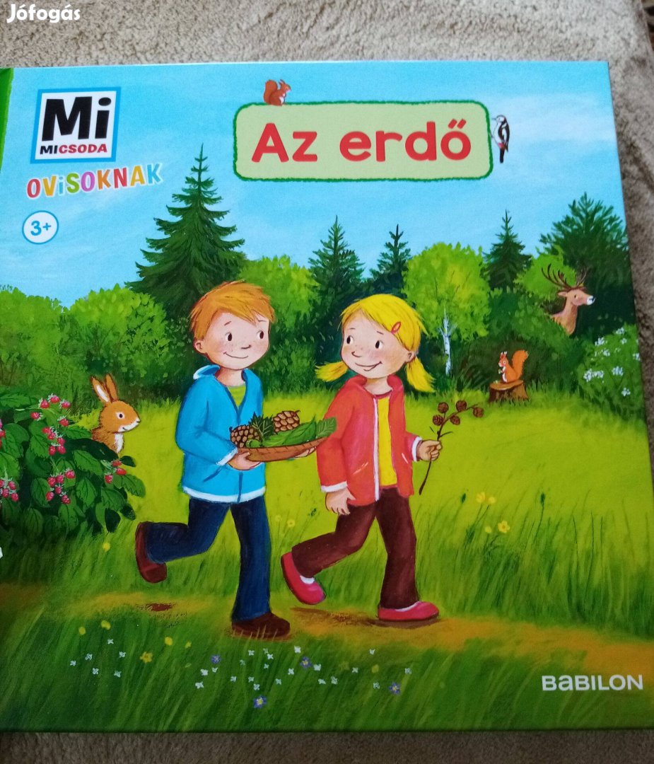 Mi micsoda ovisoknak: Az erdő