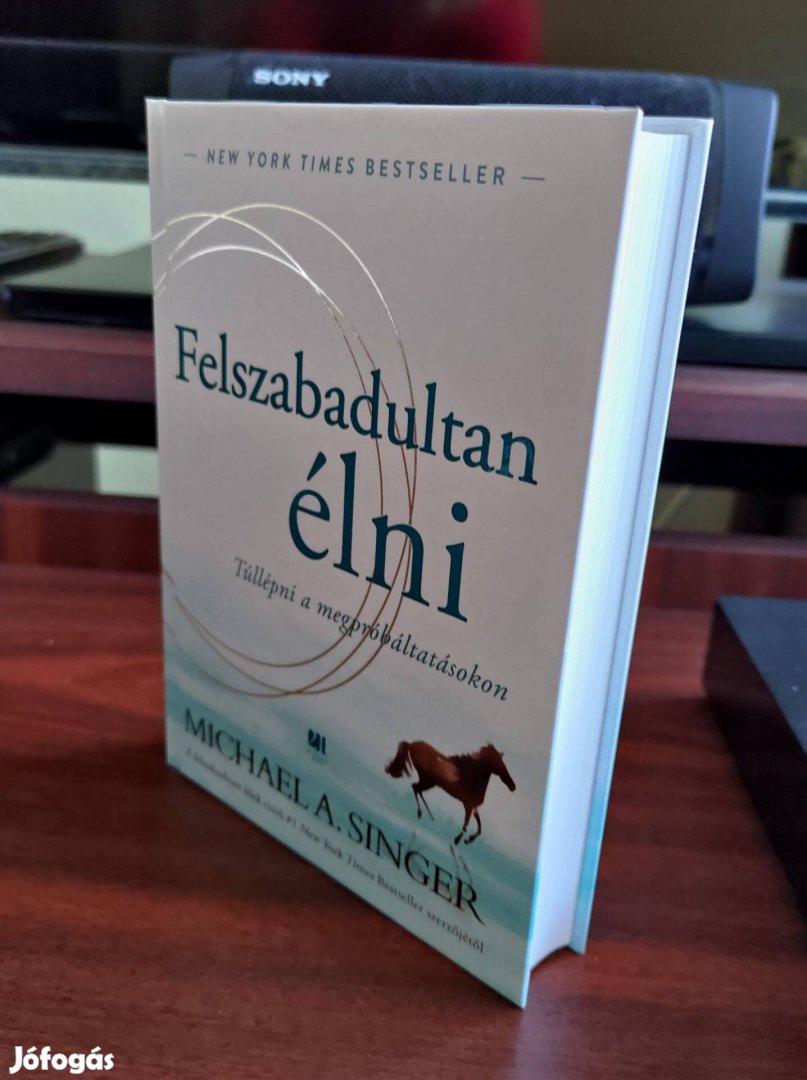 Michael A. Singer: Felszabadultan élni