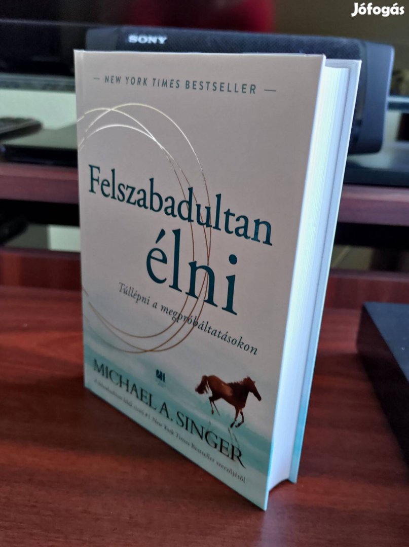 Michael A. Singer: Felszabadultan élni