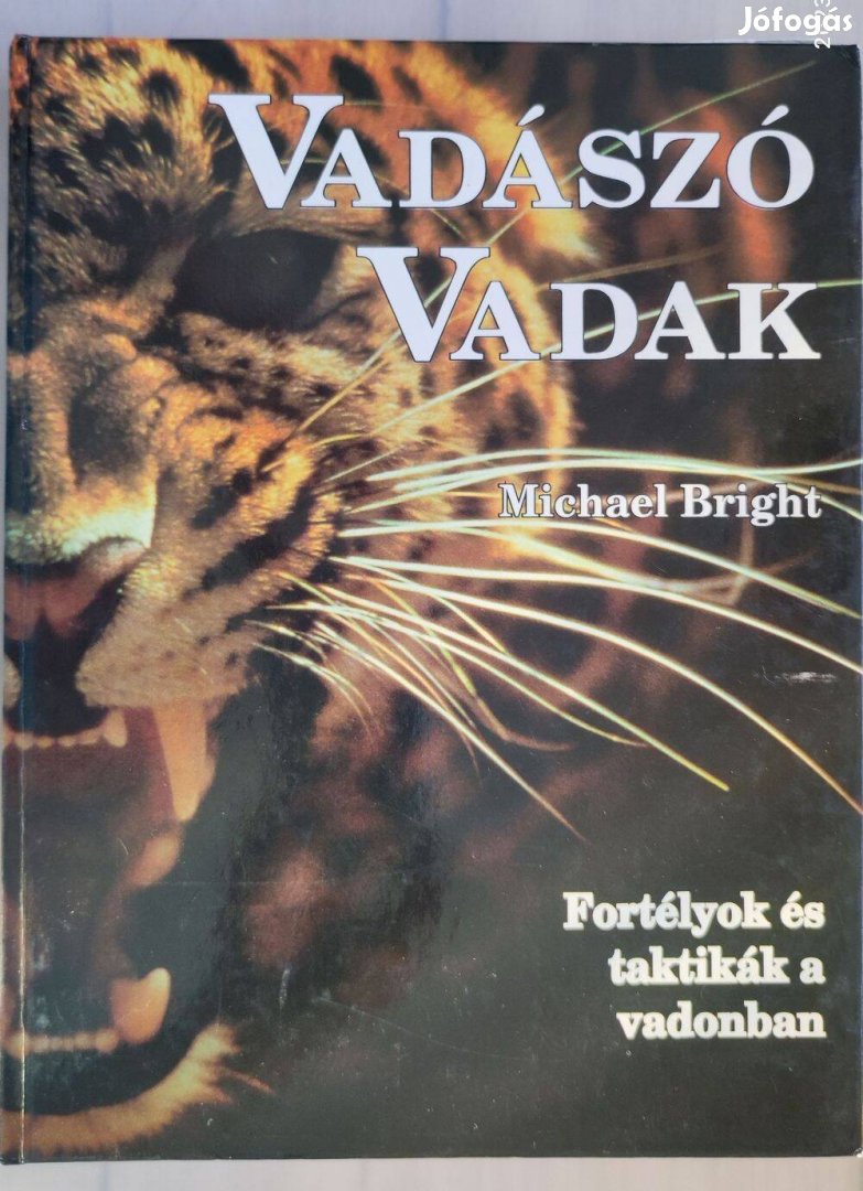 Michael Bright: Vadászó vadak c. könyv eladó Békéscsabán