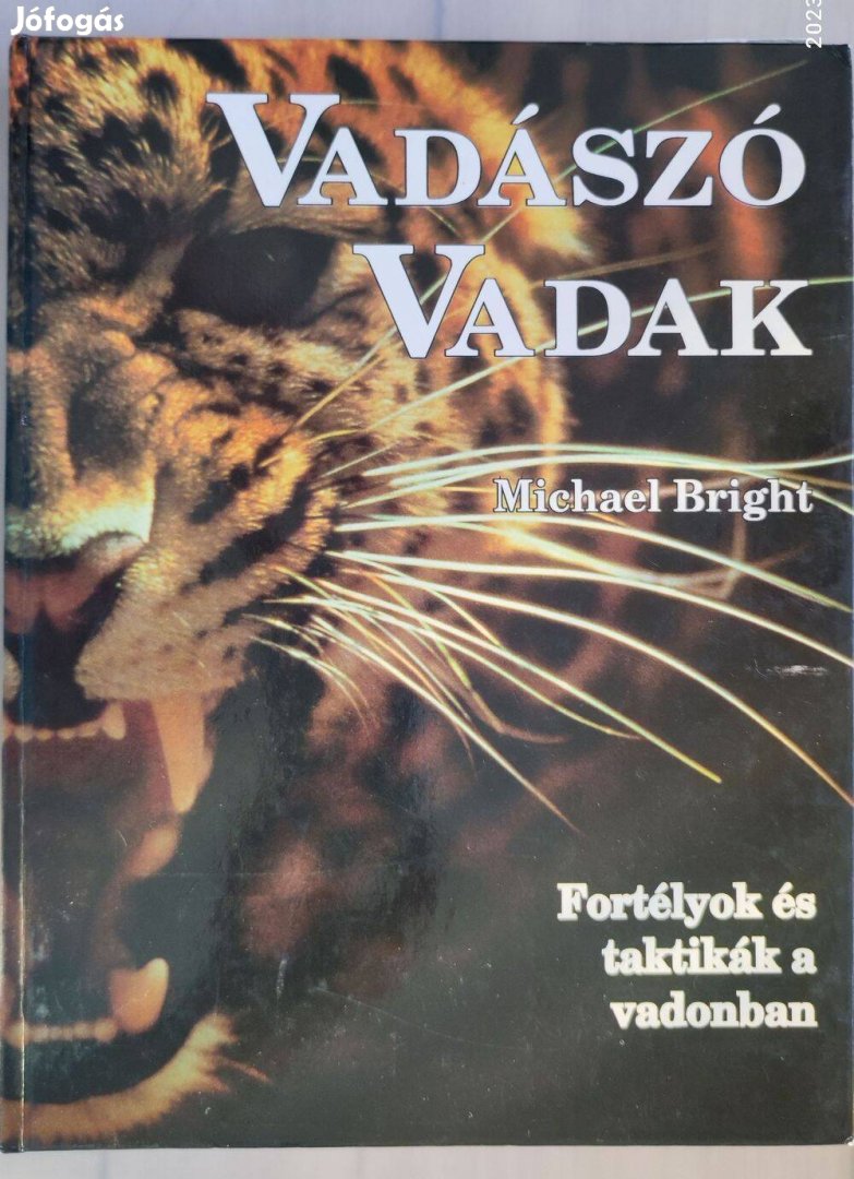 Michael Bright: Vadászó vadak c. könyv eladó Békéscsabán