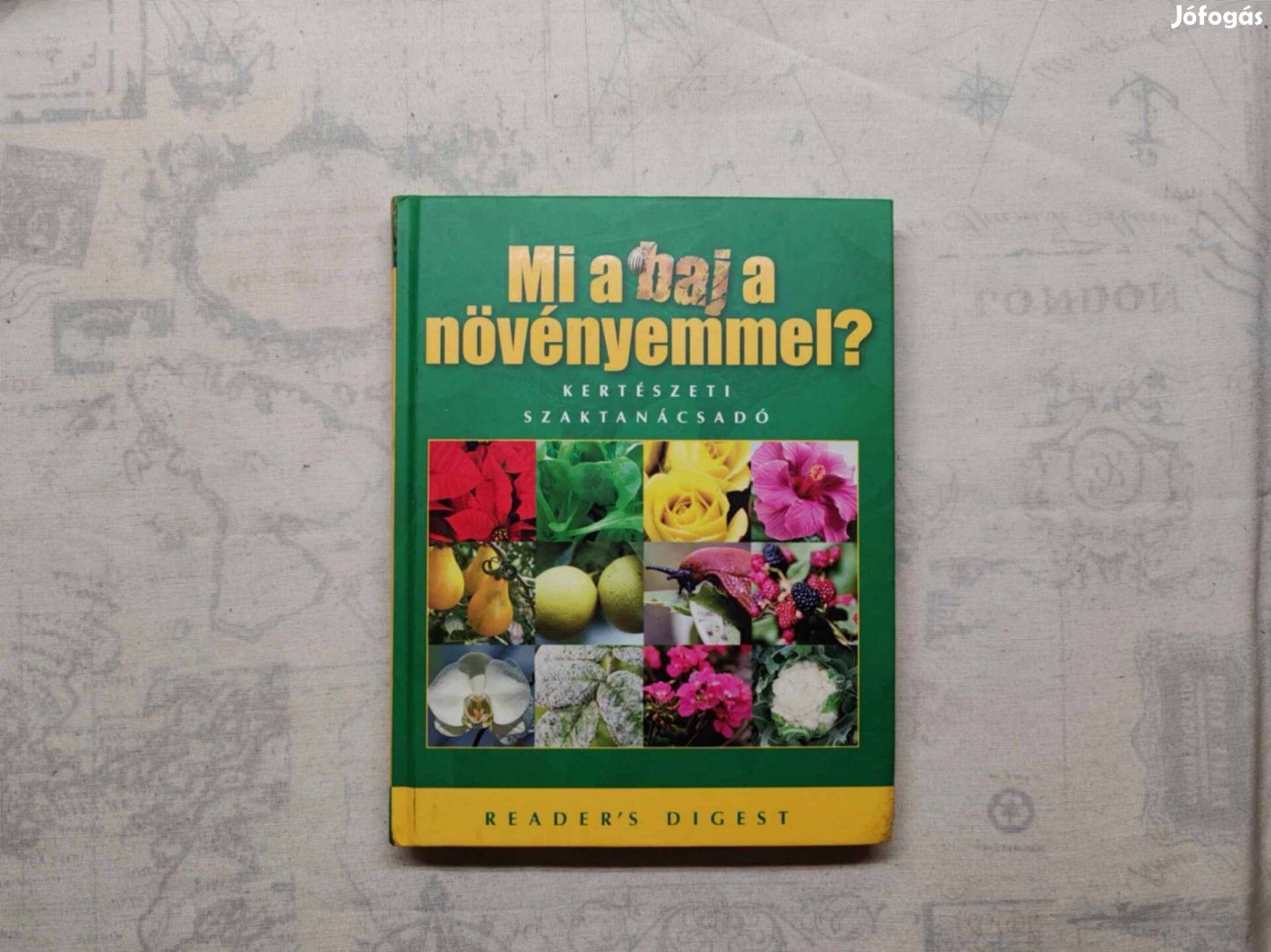 Michael Ernst - Mi a baj a növényemmel? - Kertészeti szaktanácsadó