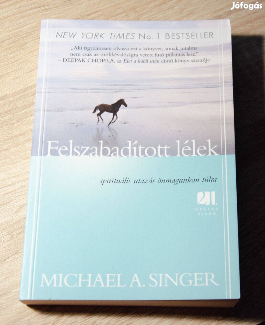 Michael Singer - Felszabadított lélek