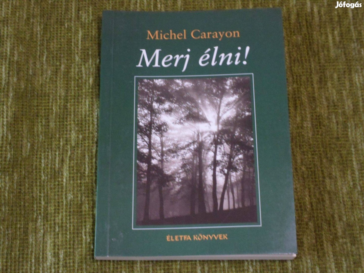 Michel Carayon: Merj élni! (szorongásról, depresszióról)