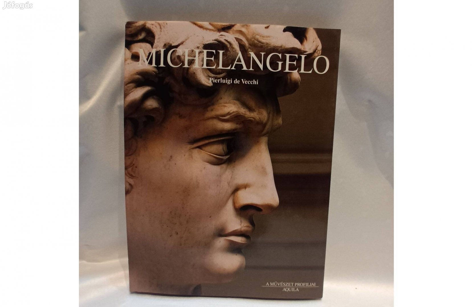 Michelangelo - Pierluigi de Vecchi (Művészeti album)