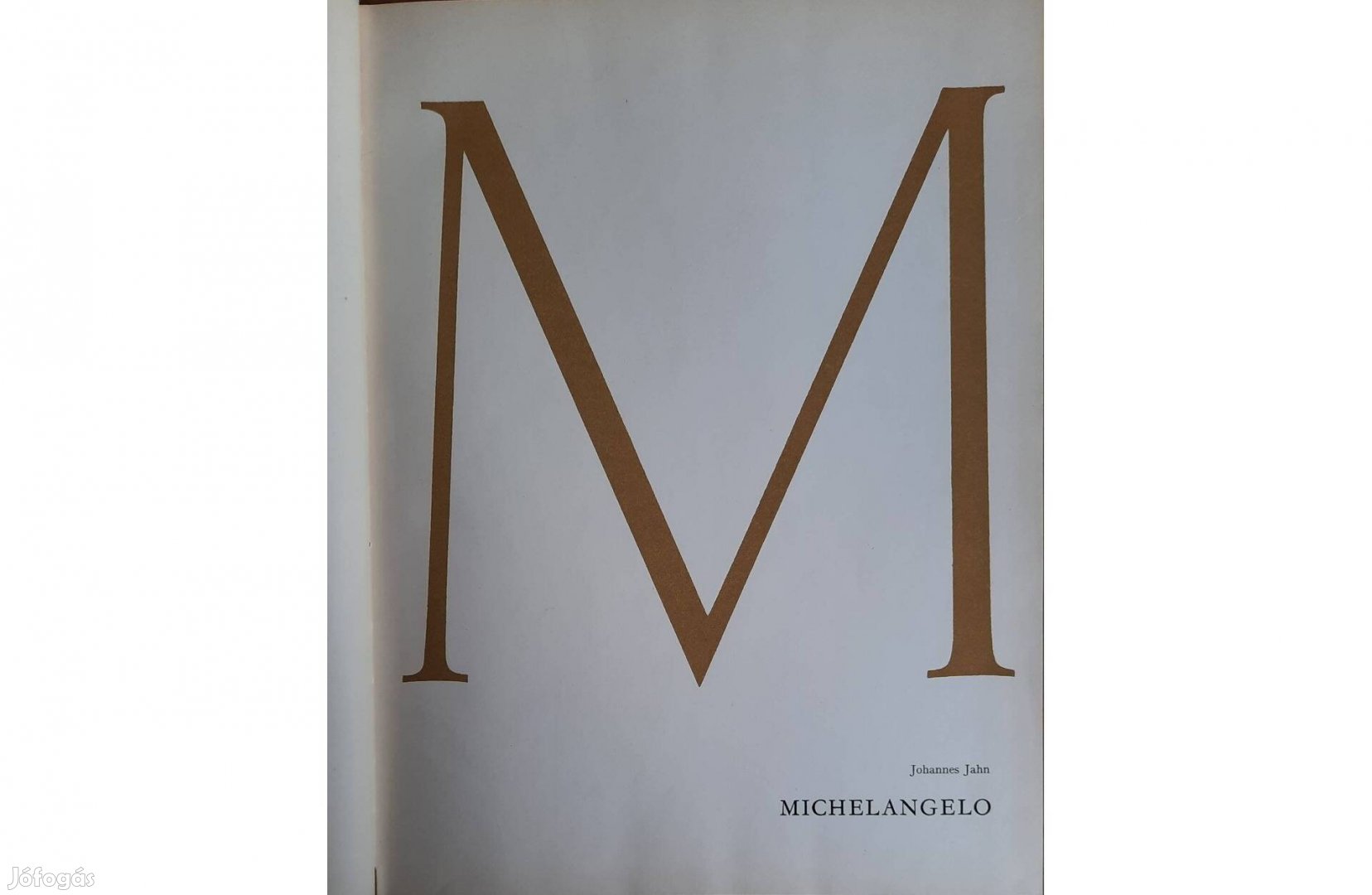 Michelangelo című könyv eladó