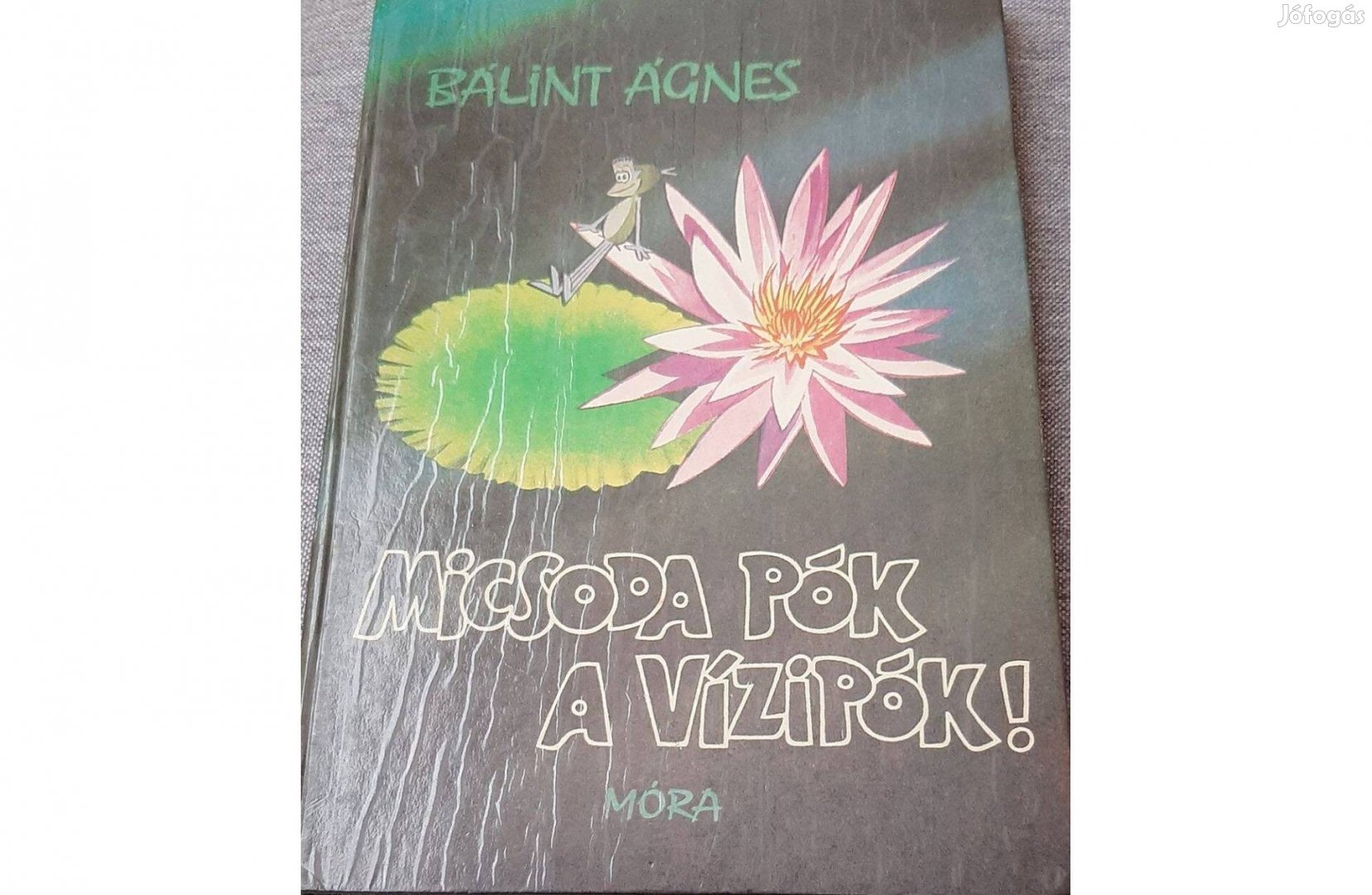 Micsoda pók a vízipók-Bálint Ágnes 1985-ös