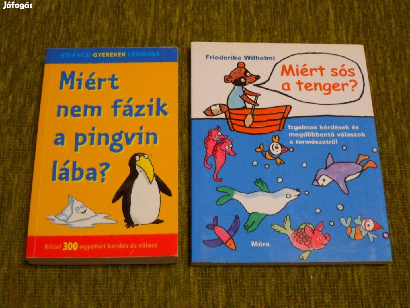 Miért nem fázik a pingvin lába? + Miért sós a tenger? - izgalmas kérdé