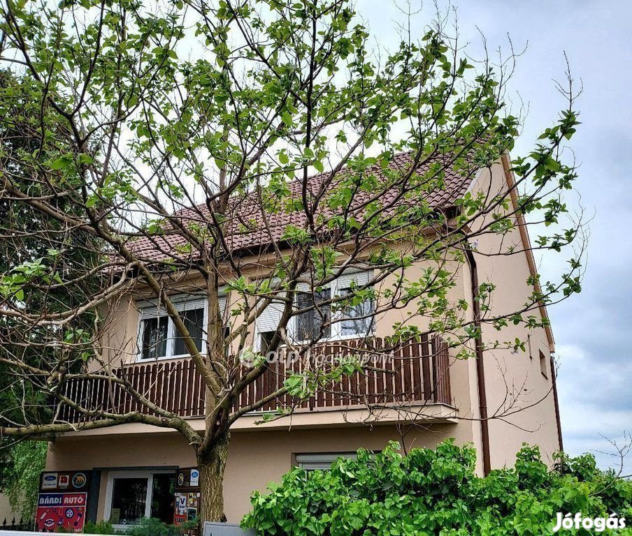 Mikepércsi 200 nm-es ház eladó