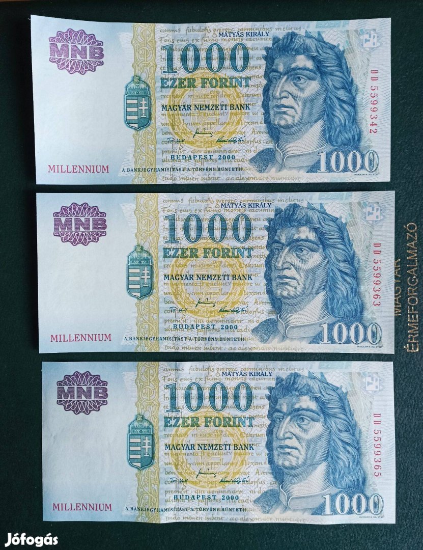 Millenium 1000 Ft 2000 DD 5599 UNC