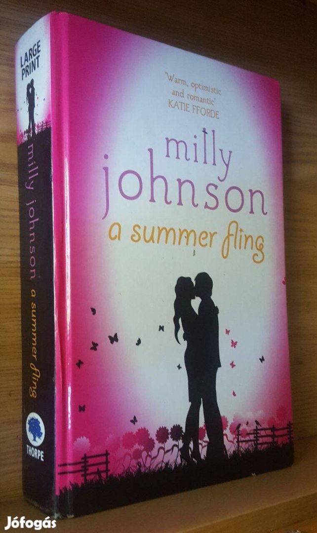 Milli Johnson A summer fling angol nyelvű könyv