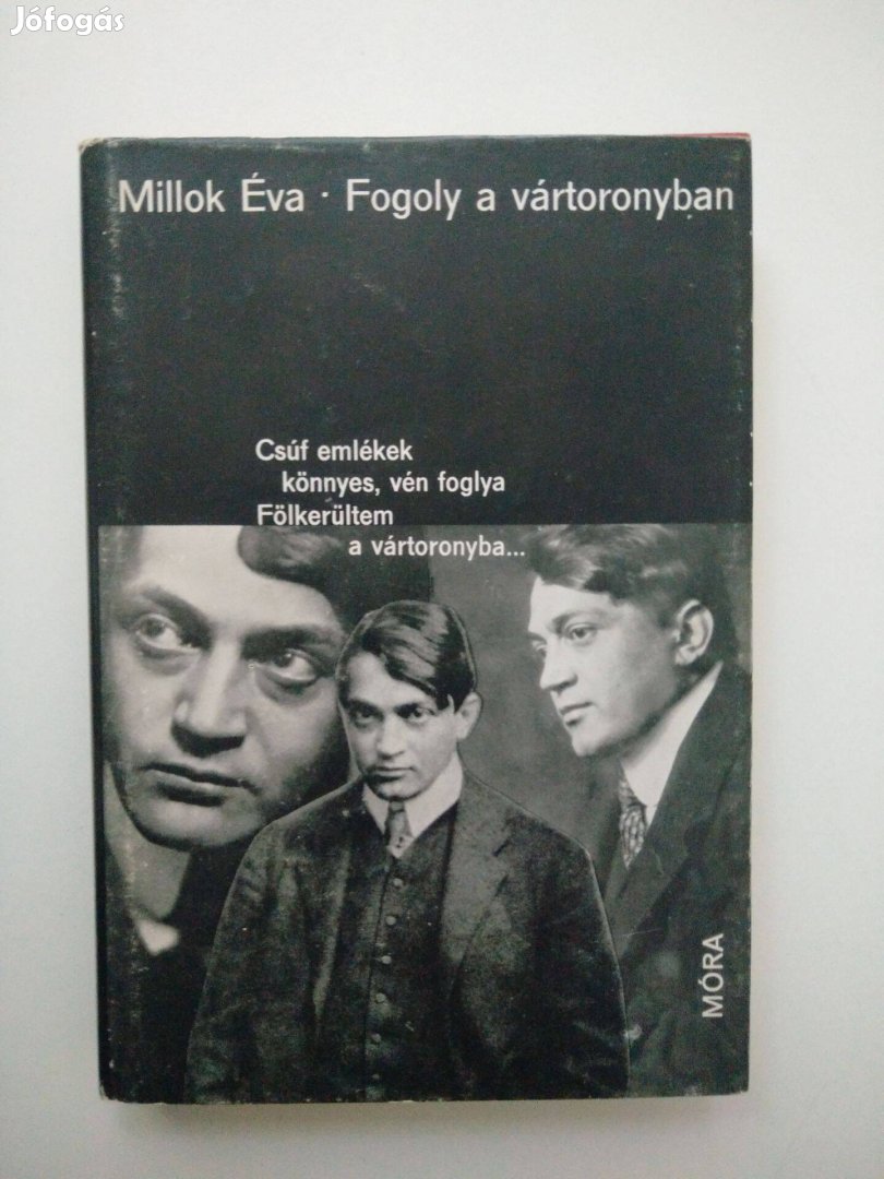 Millok Éva - Fogoly a vártoronyban - Ady Endre életregénye