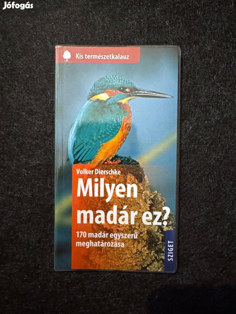 Milyen madár ez? (Volker Dierschke)