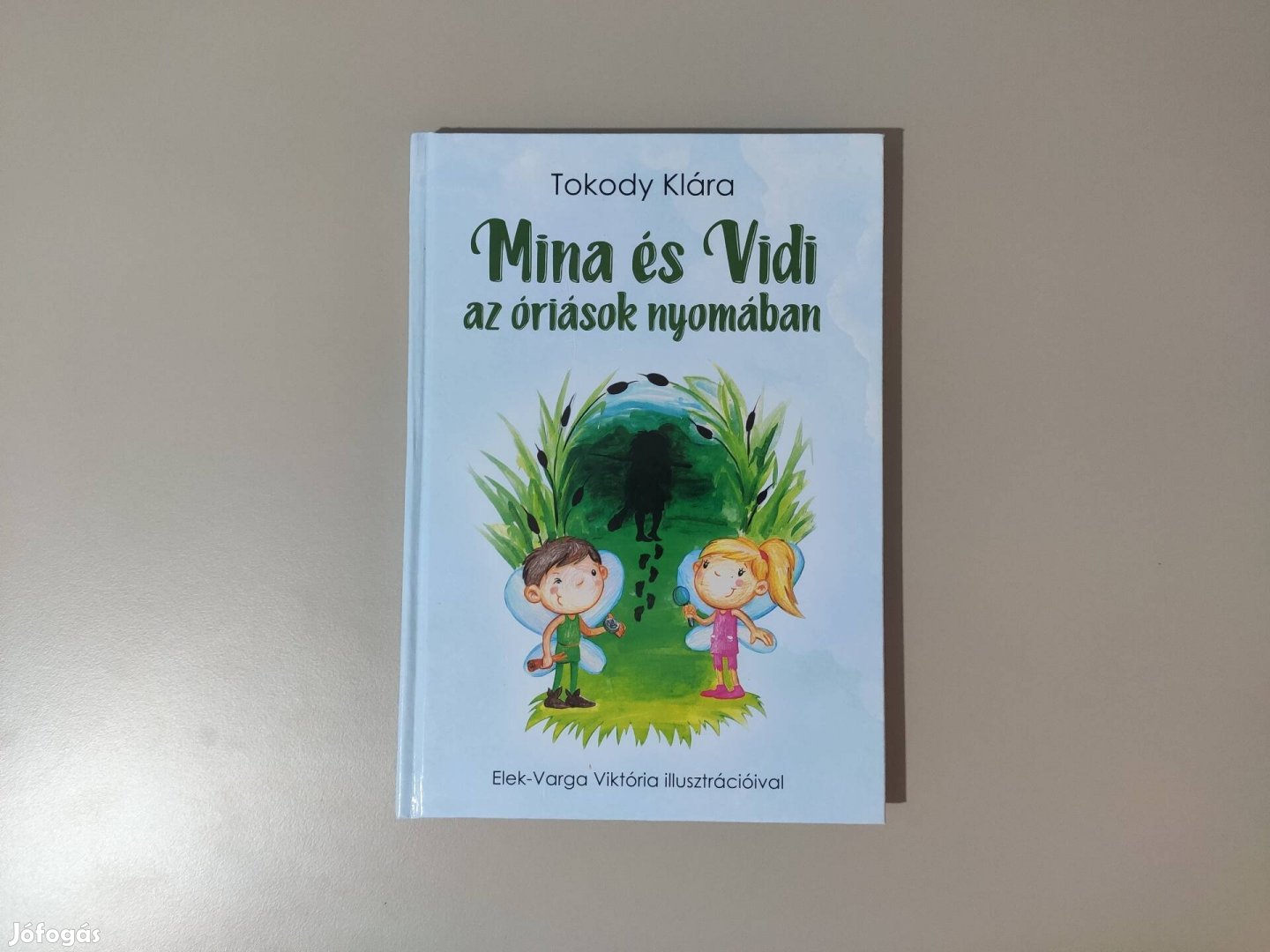 Mina és Vidi könyv