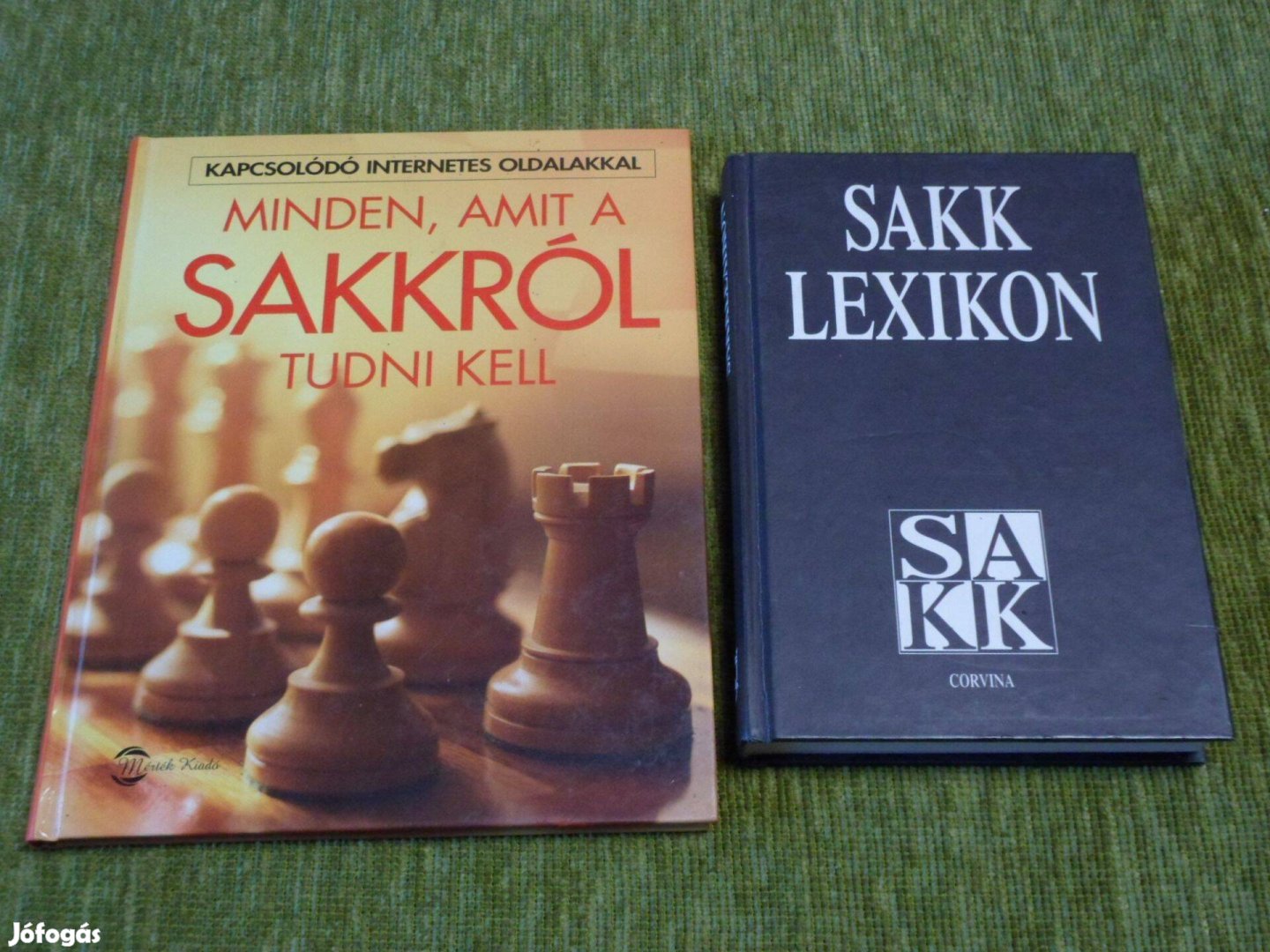 Minden, amit a sakkról tudni kell + Sakklexikon