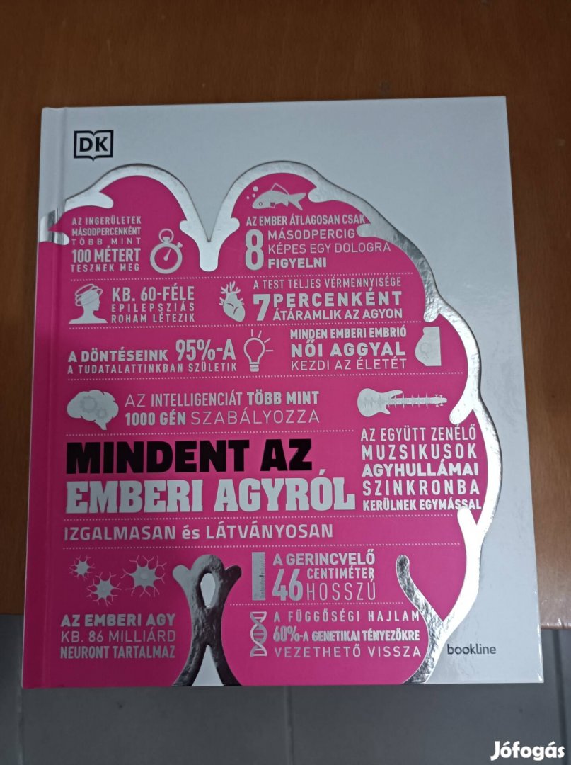 Mindent az emberi agyról könyv