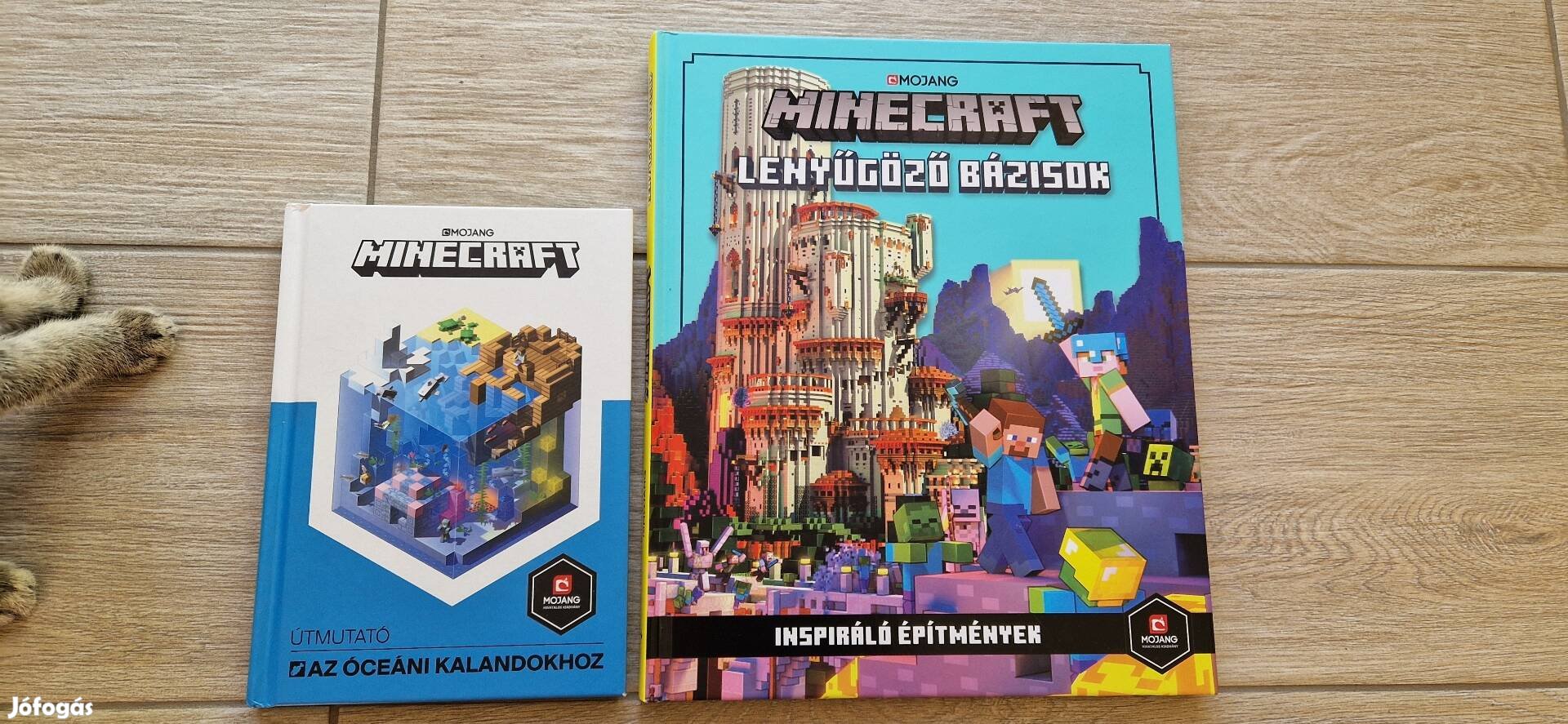 Minecraft könyvek 