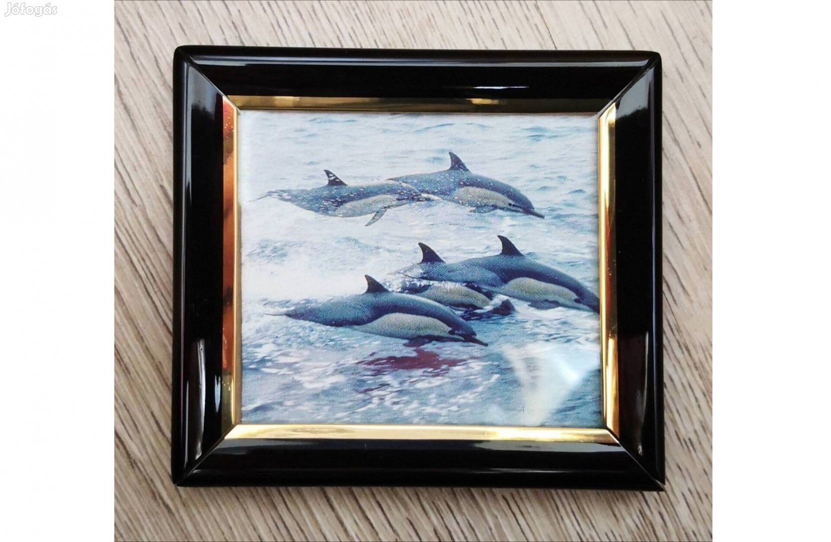 Mini delfines kép