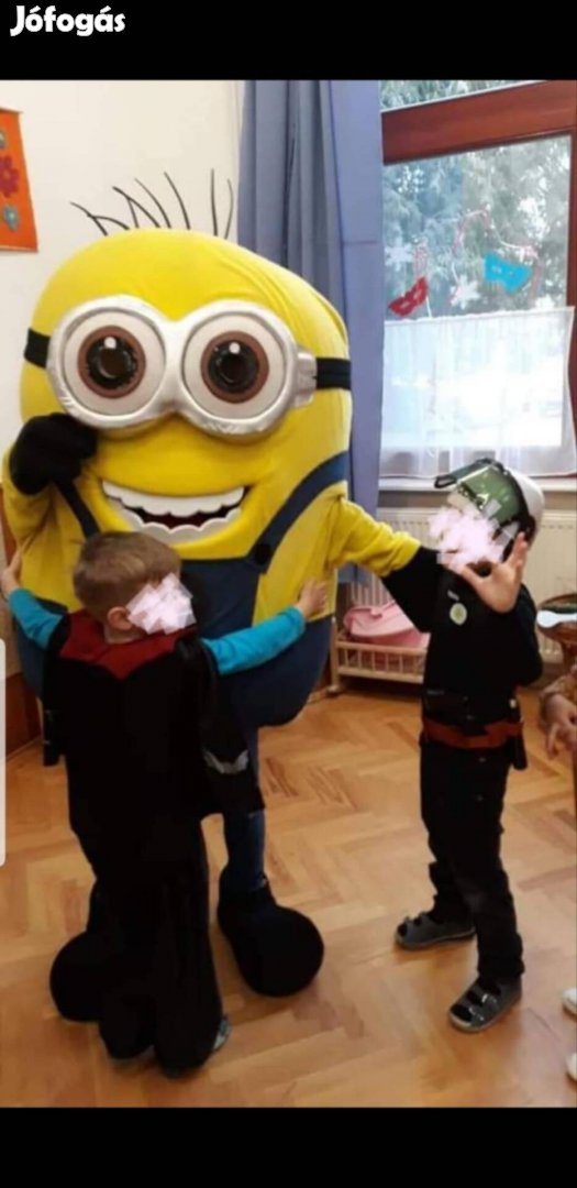 Minion Profi felnőt jelmez 