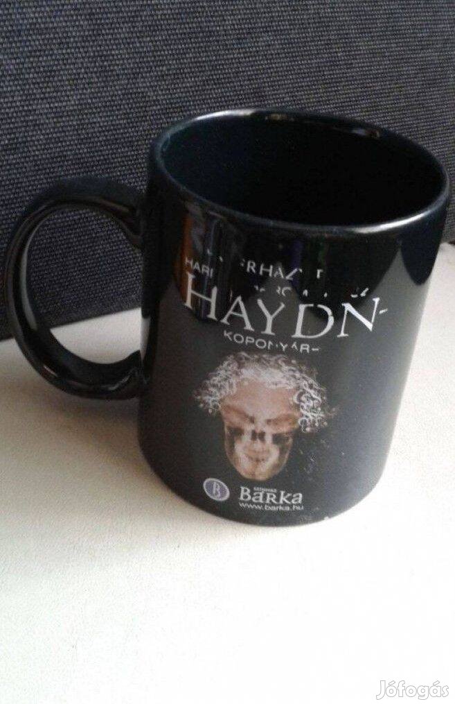 Mintás bögre, Haydn bögre pohár