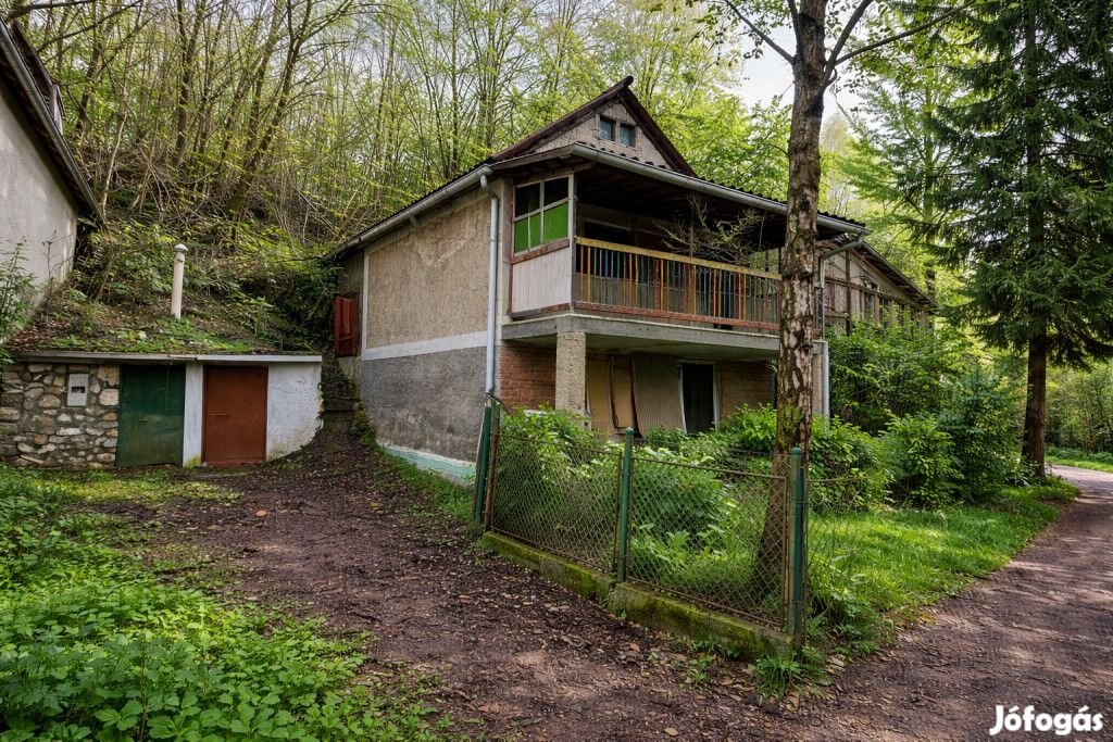 MiskolcTapolca szomszédságában, a Benedek-hegyi pincesoron