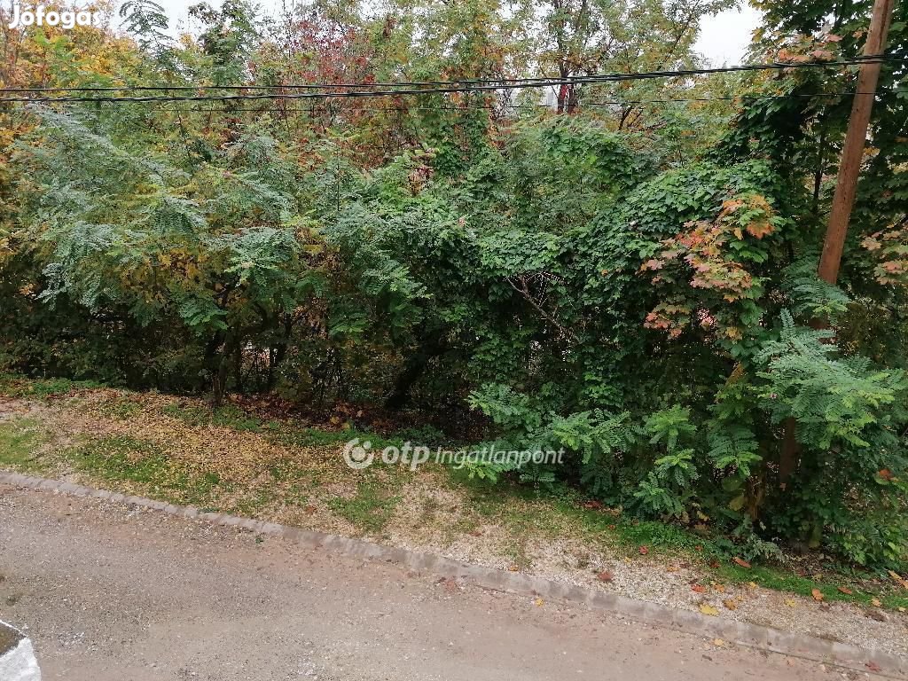 Miskolci 30 nm-es borospince eladó