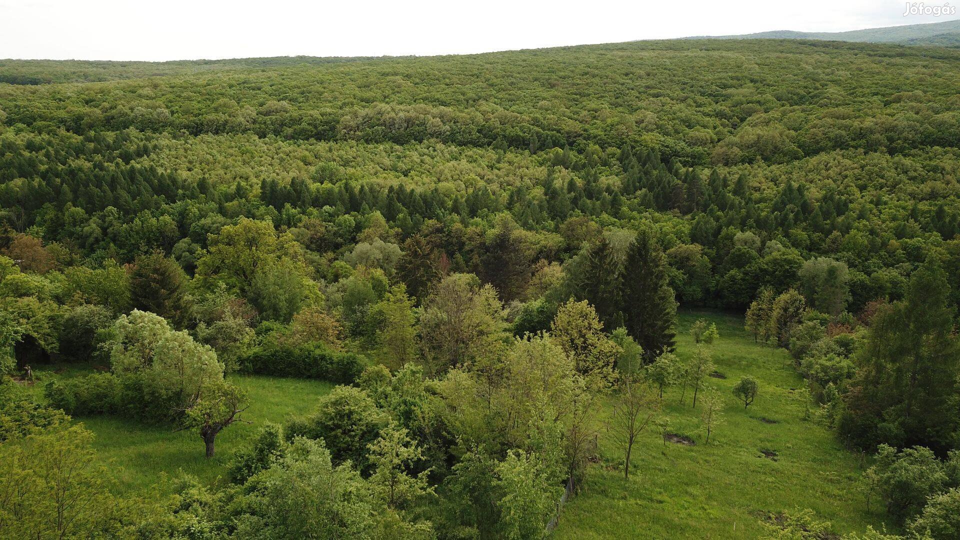 Miskolctapolcai panorámás telek eladó - 3443m2