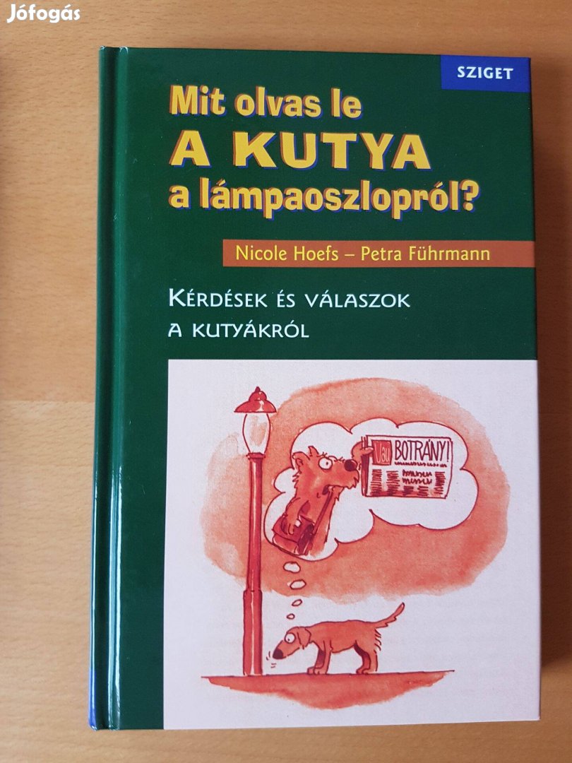 Mit olvas le a kutya a lámpaoszlopról?