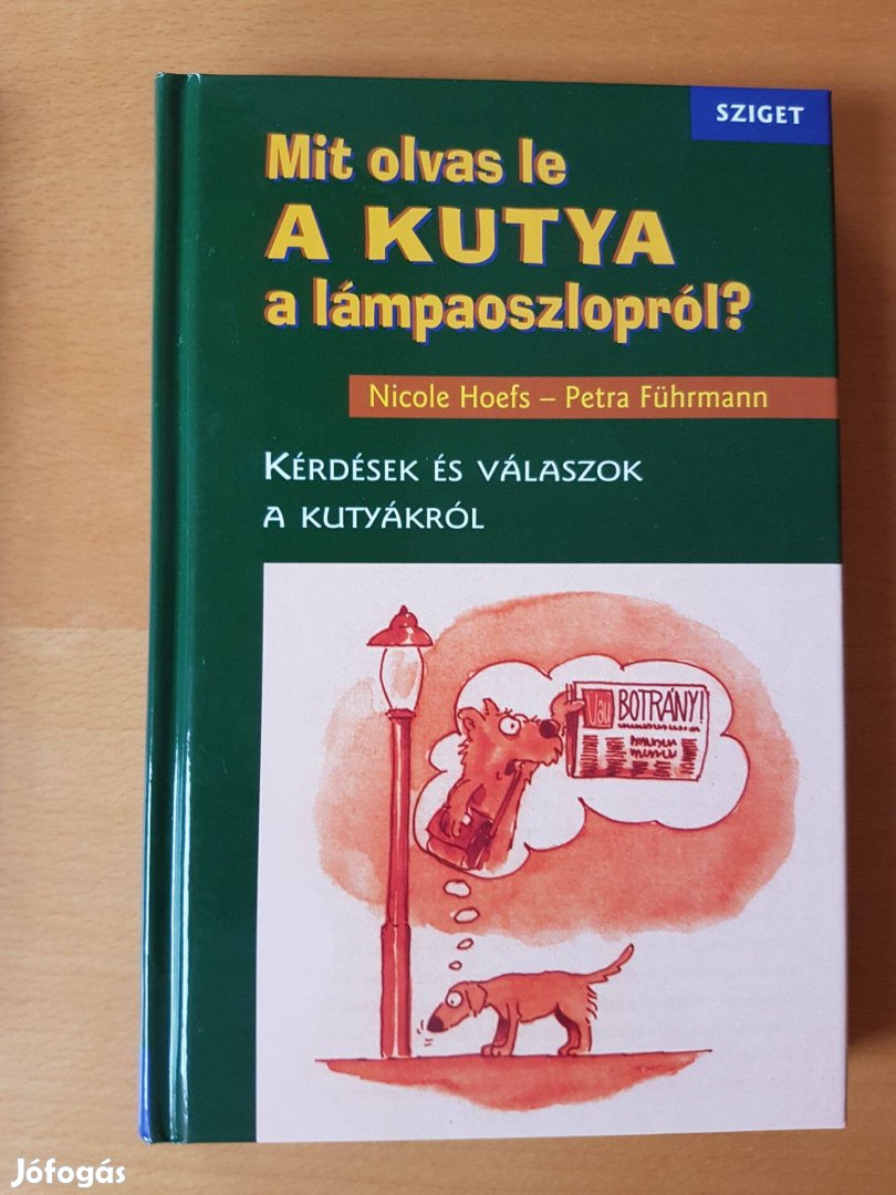 Mit olvas le a kutya a lámpaoszlopról?