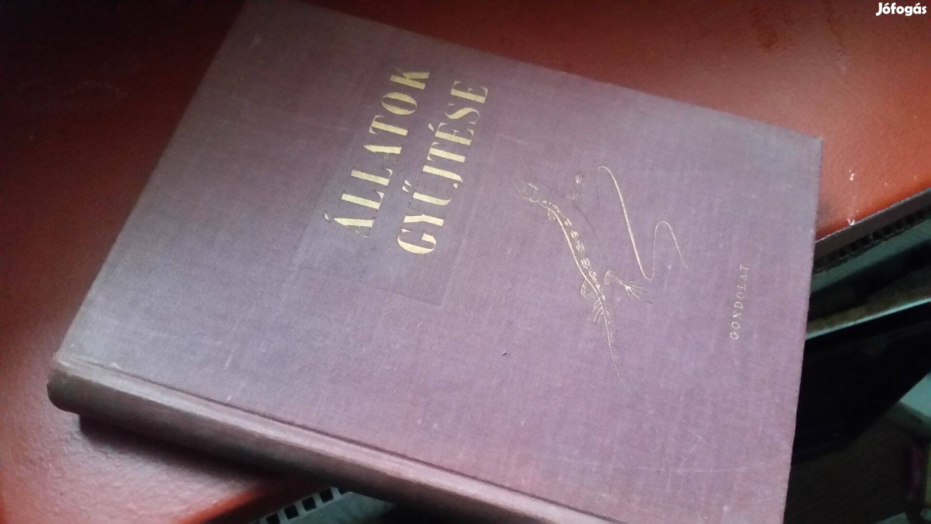 Móczár László szerk. Az állatok gyűjtése