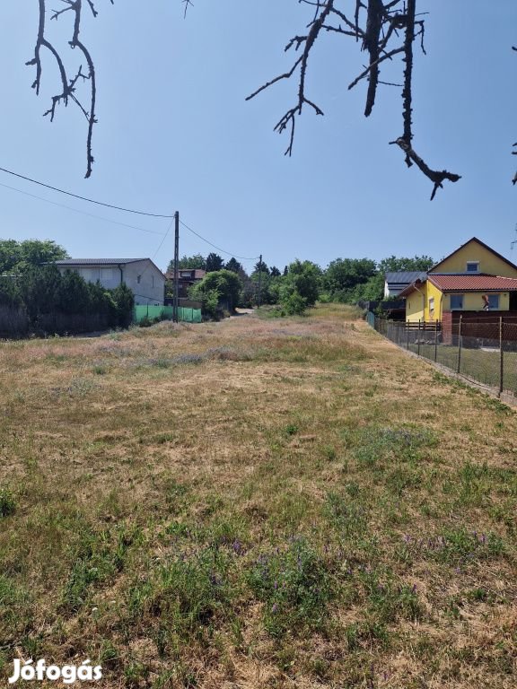 Mogyoród, Körte utca, 1630 m2-es, telek