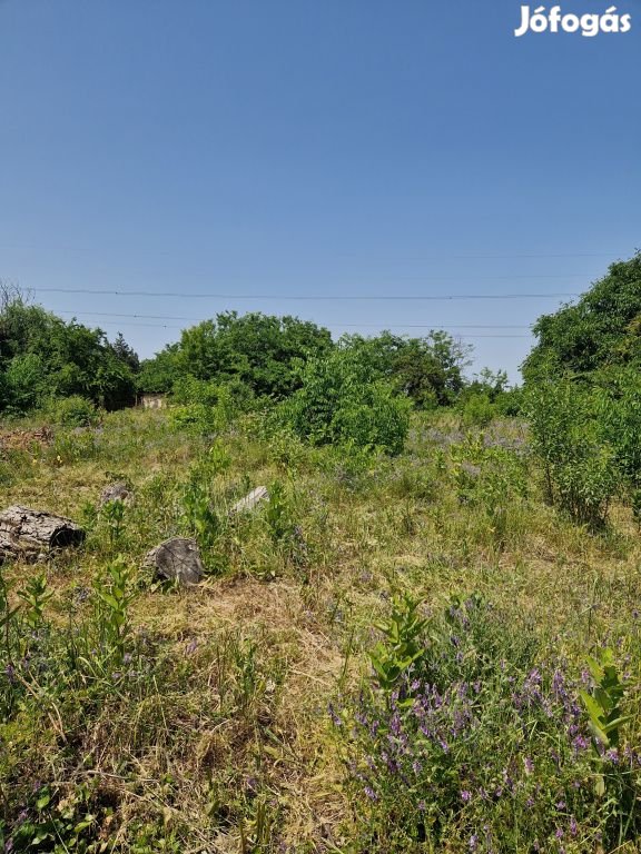 Mogyoród, Pacsirta utca, 1439 m2-es, telek