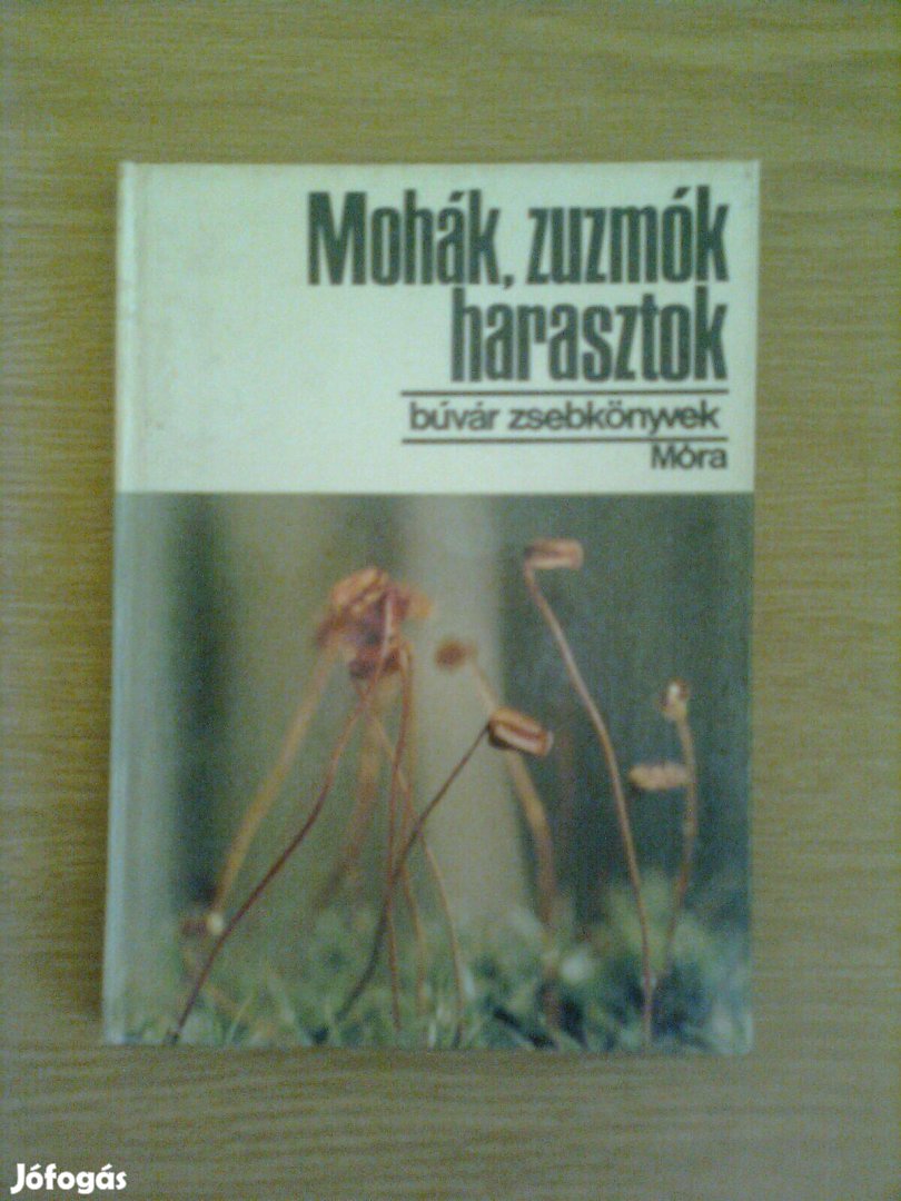 Mohák, zuzmók, harasztok (biológia)