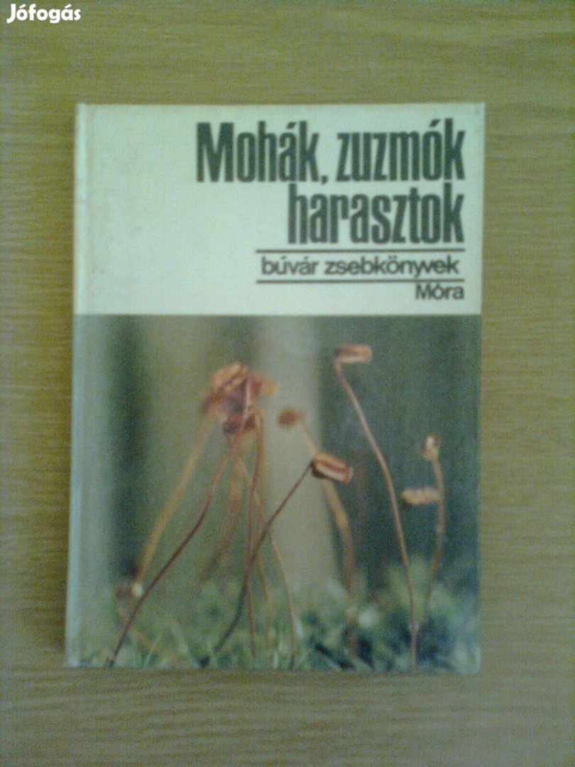 Mohák, zuzmók, harasztok (biológia)